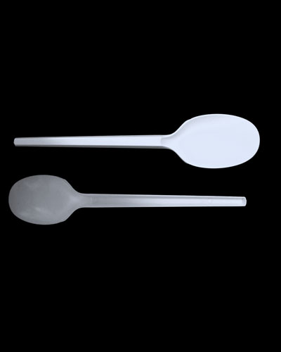6.5 Eco Spoon copy