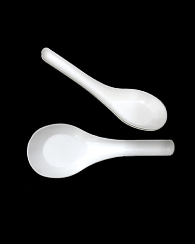 CHinese Spoon copy