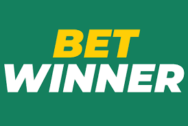 Discover the BetWinner Online Gambling Platform A Comprehensive Review