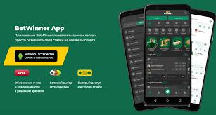 Exploring BetWinner BF Bonuses Your Ultimate Guide