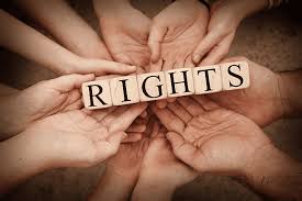 The Role and Impact of Human Rights Attorneys The Role and Impact of Human Rights Attorneys