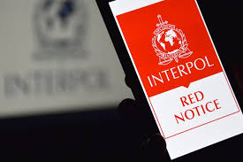 Understanding Interpol Legal Help Your Guide to International Law Enforcement